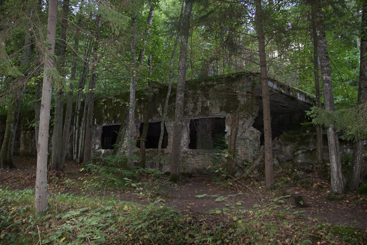 Masuren Wolfsschanze (1 von 7)
