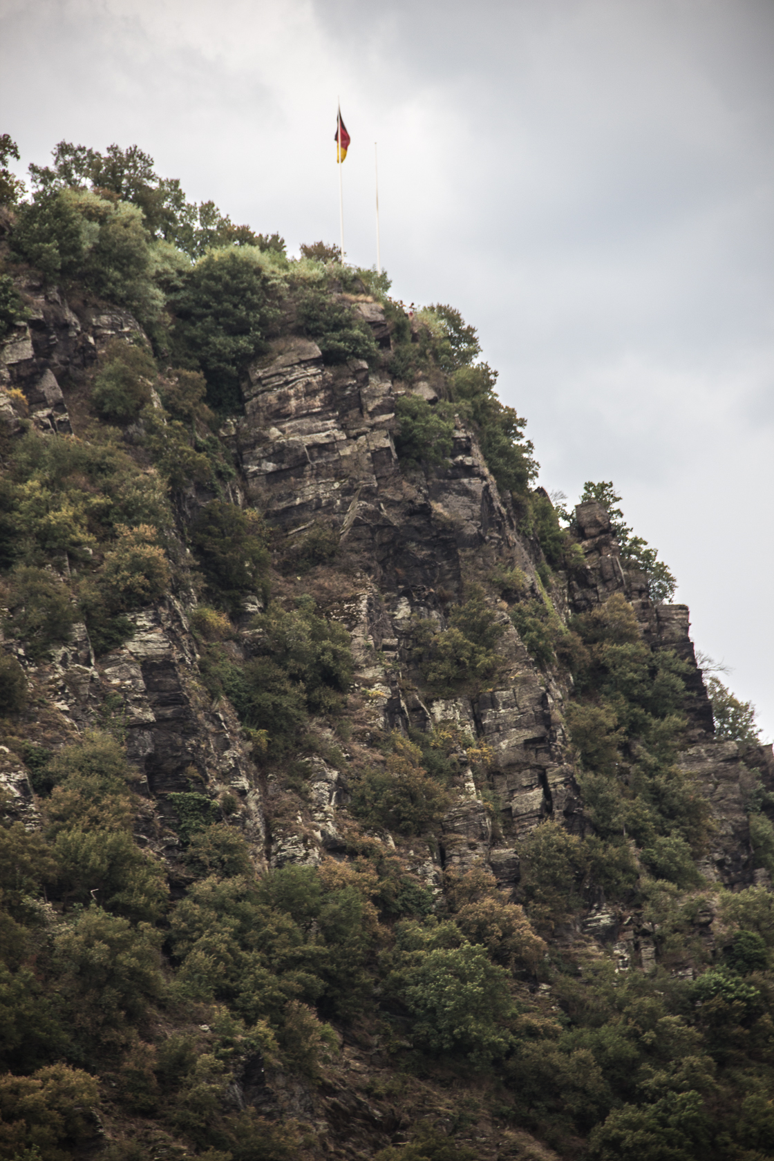 Loreleyfelsen, Rüdesheim- St. Goarshausen, Schifffahrt Bild 50