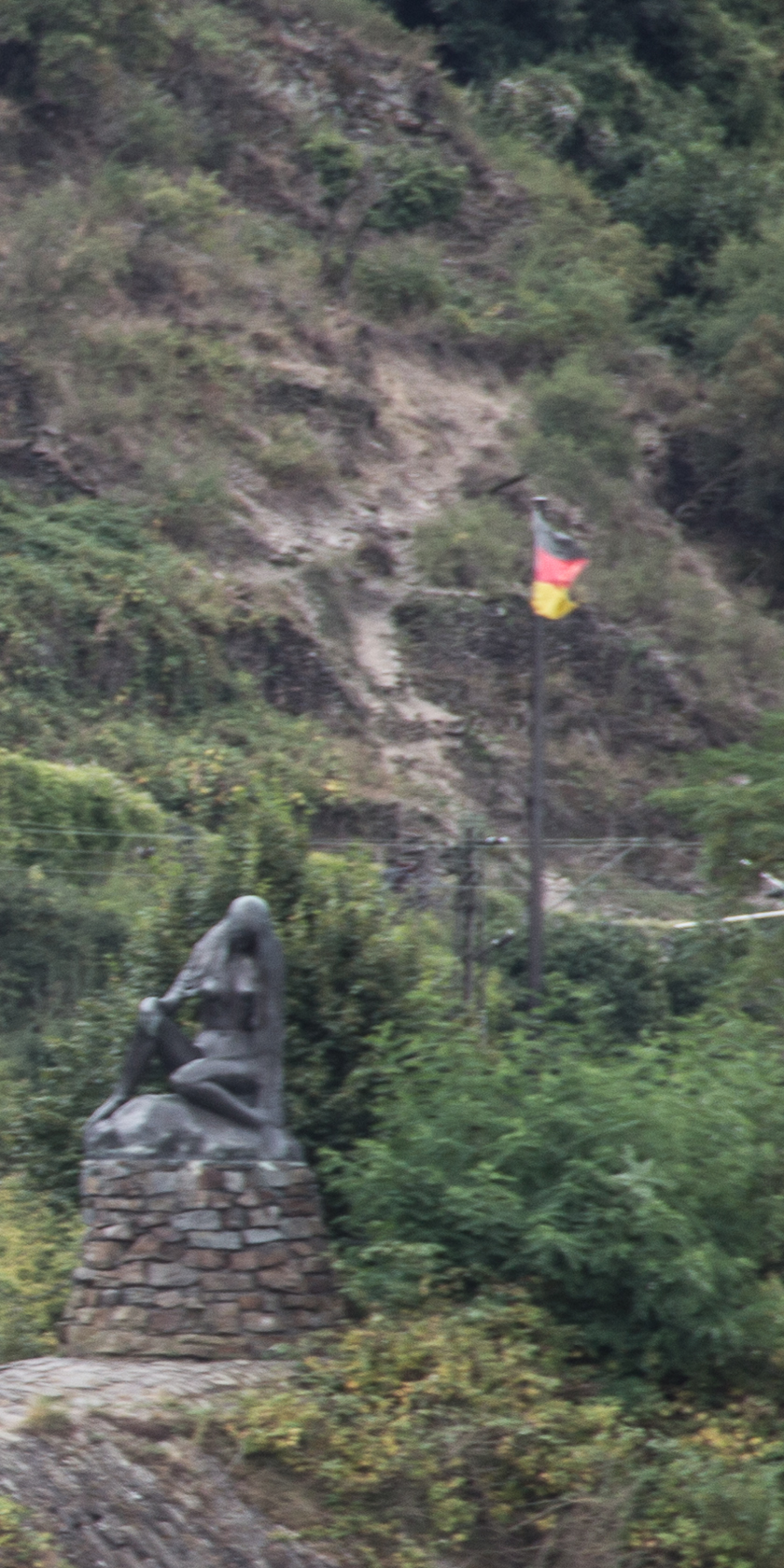 Loreleystatue, Rüdesheim- St. Goarshausen, Schifffahrt Bild 51